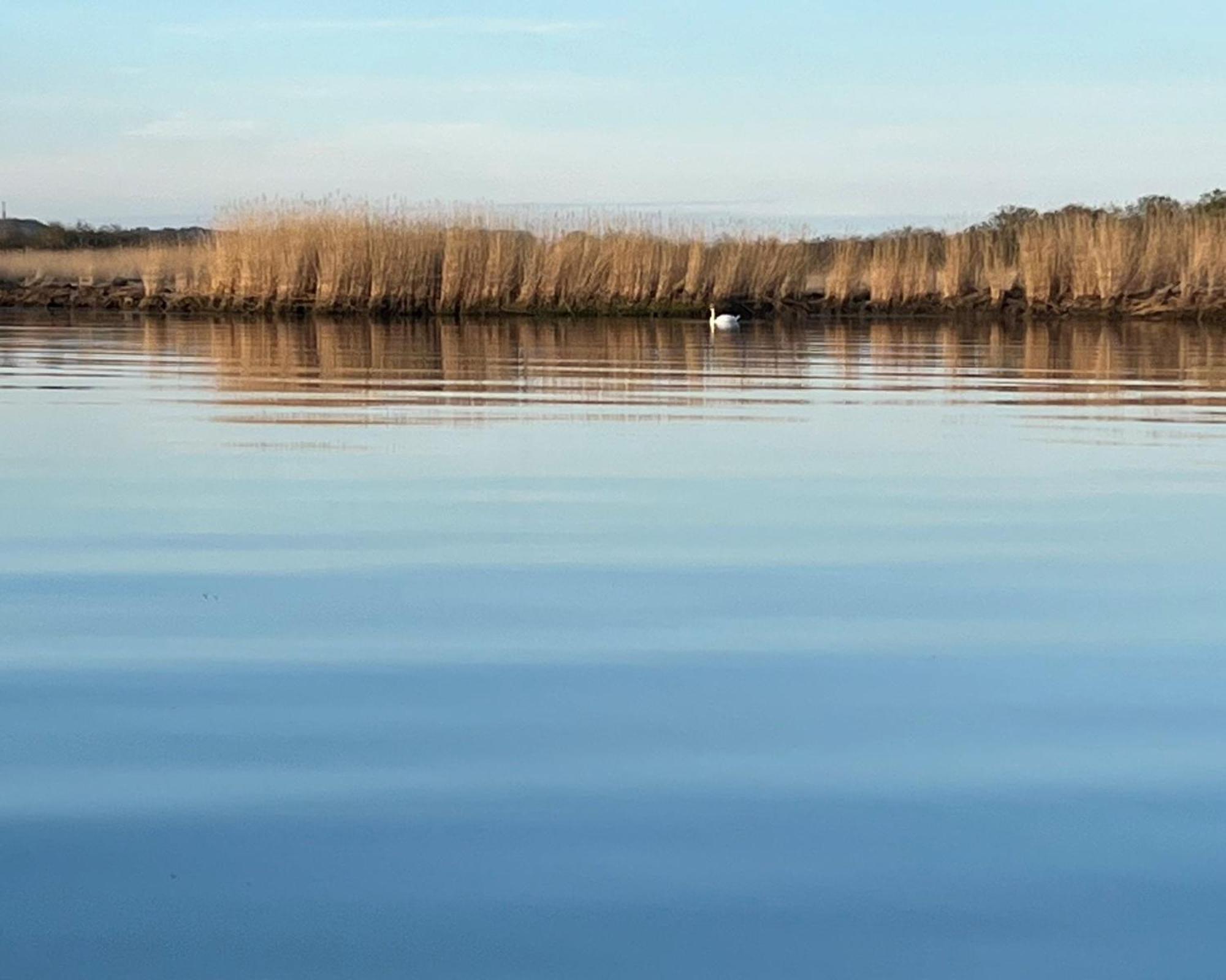Hotel Hausboot Dotterbart Gager Zewnętrze zdjęcie